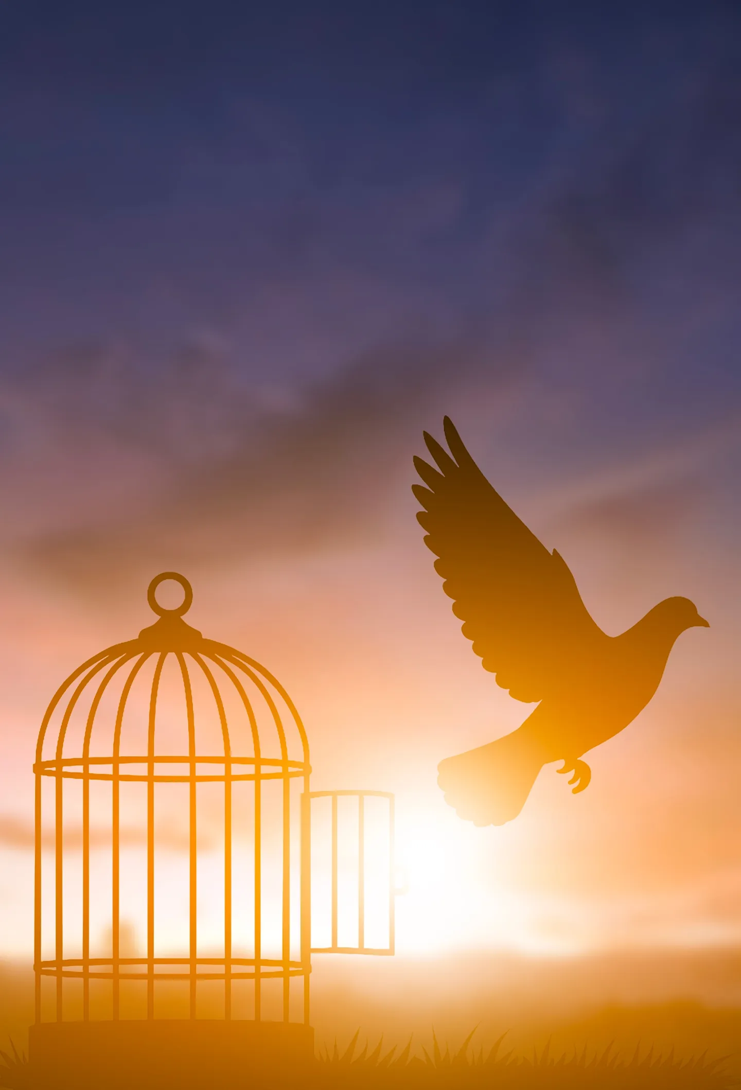 A bird flies free from an open birdcage against a sunrise sky.